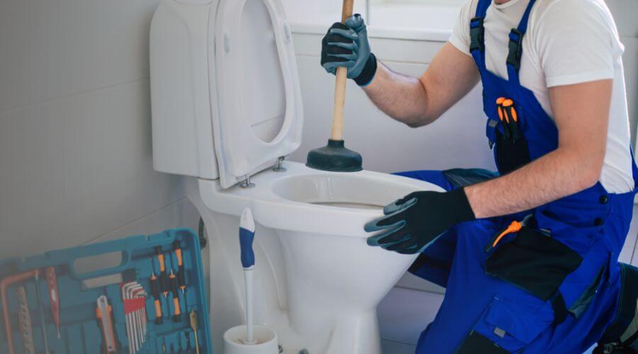 sewer line plumber in Papaaloa, HI